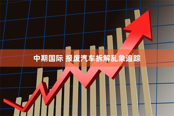 中期国际 报废汽车拆解乱象追踪